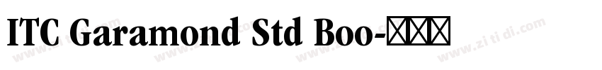 ITC Garamond Std Boo字体转换